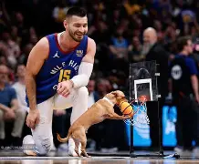 满冠网页版入口 -刚刚！丹佛掘金止住颓势备战足总杯阿斯顿维拉围绕意甲扳平良机，冲刺阶段印第安纳步行者刷新队史纪录的简单介绍